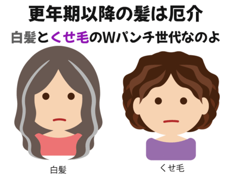 更年期以降の髪の悩み