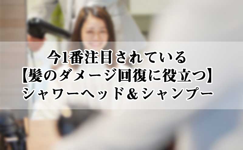 今１番注目されている髪のダメージ回復に役立つシャワーヘッドとシャンプー